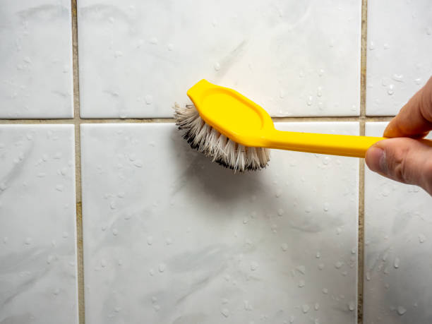 Best Office Mold Removal Services  in Sonoma, CA