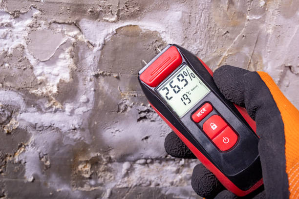Best Attic Mold Removal  in Sonoma, CA