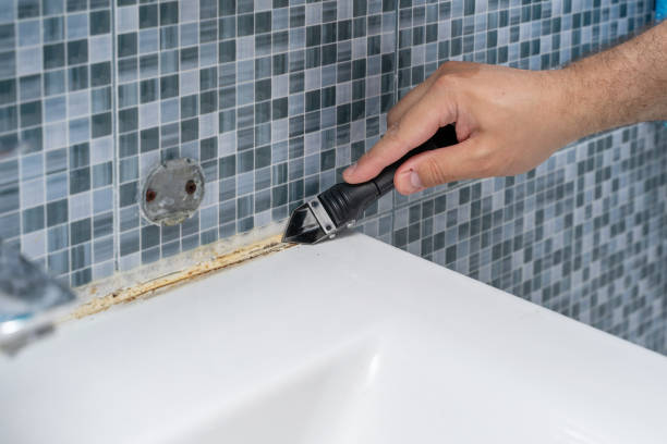 Mold Removal Process in Sonoma, CA